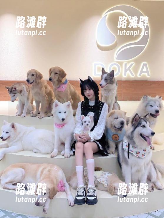 传送门开启了，明星黑料网站比我想象中复杂……